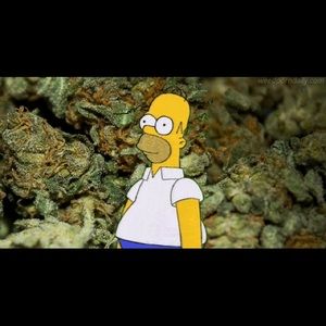 Meet your Posher, Jon